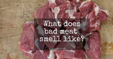 Why does my beef smell like ammonia?