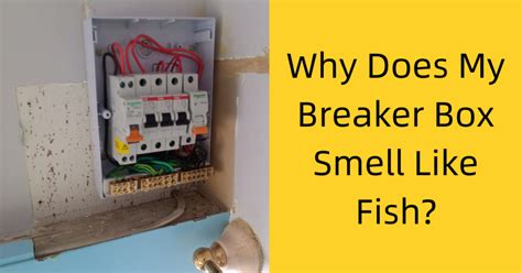 Why does my breaker smell weird?