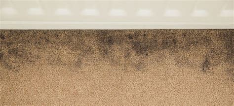 Why does my carpet look dirtier after shampooing?