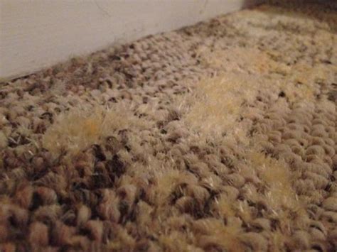 Why does my carpet look patchy?