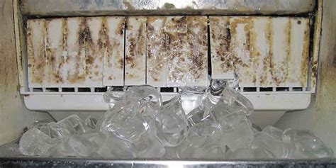 Why does my countertop ice maker get moldy?