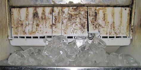Why does my countertop ice maker taste bad?
