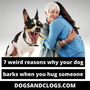 Why does my dog bark when I hug my wife?