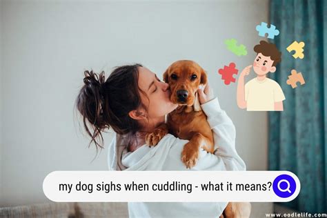 Why does my dog sigh when I cuddle him?