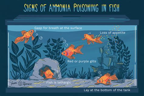 Why does my fish taste like ammonia?