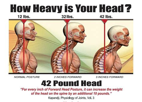 Why does my head feel heavy on my neck?