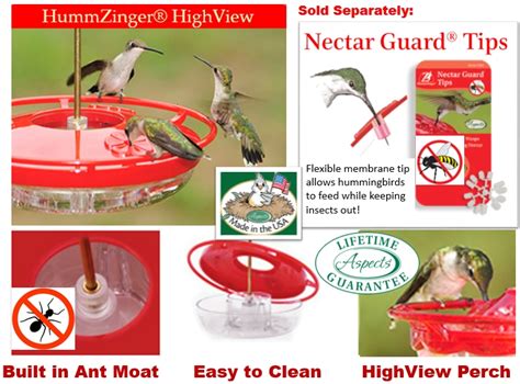 Why does my hummingbird feeder stink?