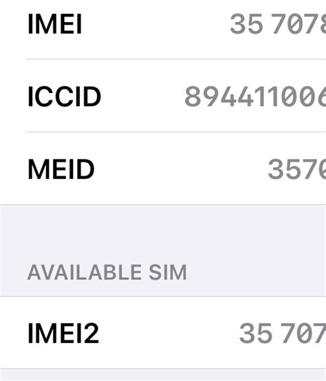 Why does my iPhone have 2 IMEI numbers?