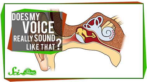 Why does my inner voice sound so loud?