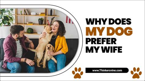 Why does my puppy prefer my wife?