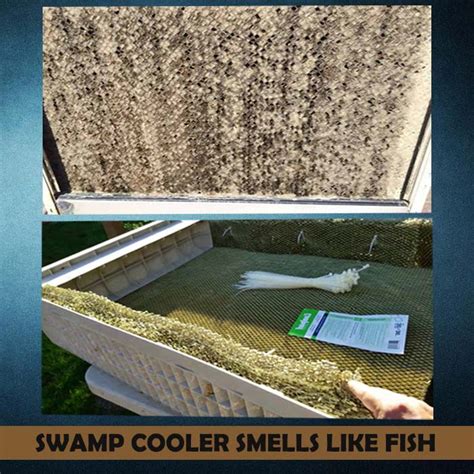 Why does my swamp cooler smell like fish?