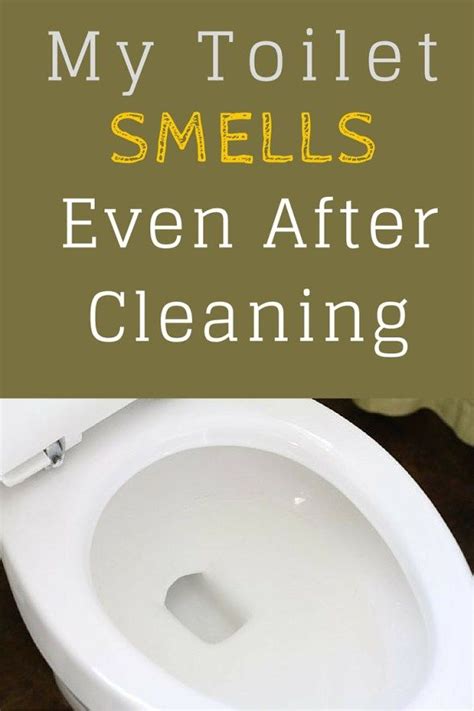 Why does my toilet smell even though it is clean?
