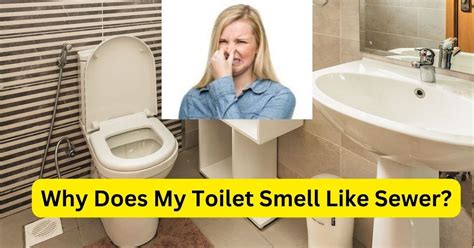 Why does my toilet smell like sewer but no leak?
