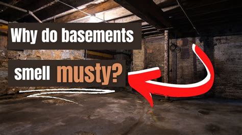 Why does my unfinished basement smell?