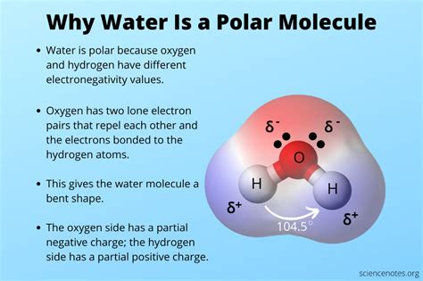 Why does polarity exist in water?
