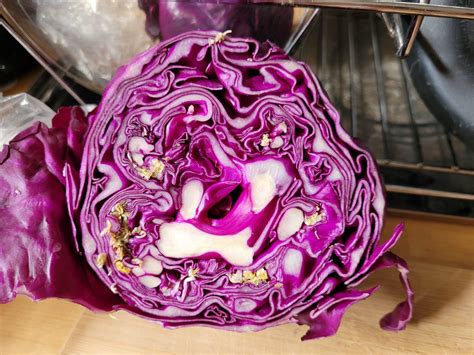 Why does purple cabbage turn red?