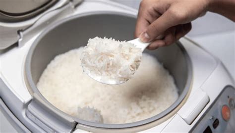 Why does rice take so long to cook?