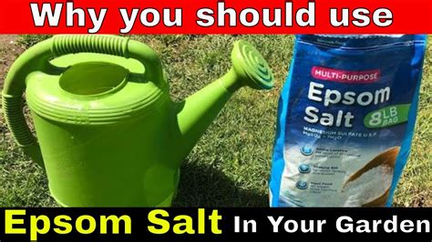 Why does salt help POTS?