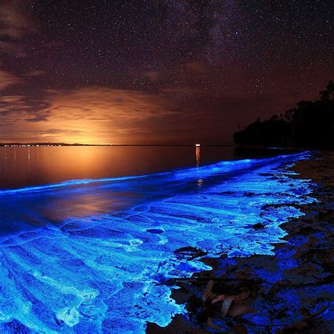 Why does sand glow at night?