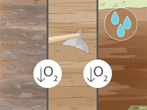 Why does soil smell like ammonia?