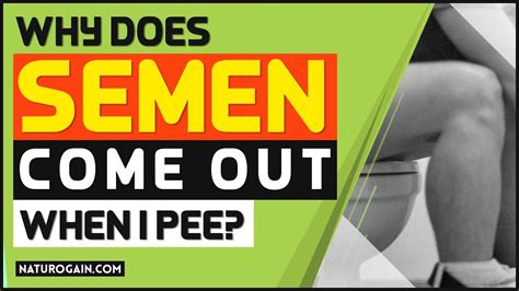 Why does sperm come out when I pee?