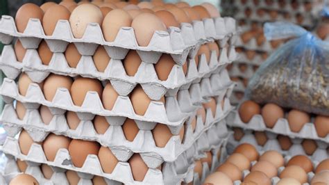 Why does the UK not refrigerate eggs?