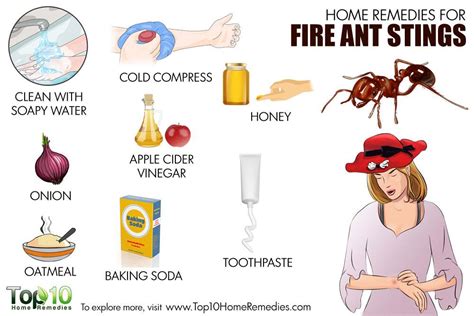 Why does toothpaste help ant bites?