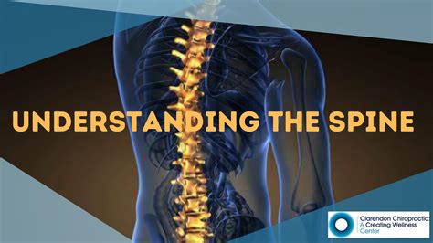 Why does twisting spine feel good?