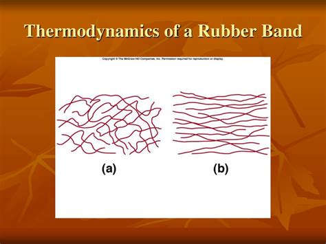 Why does unstretched rubber have more entropy?