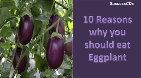 Why does us say eggplant?