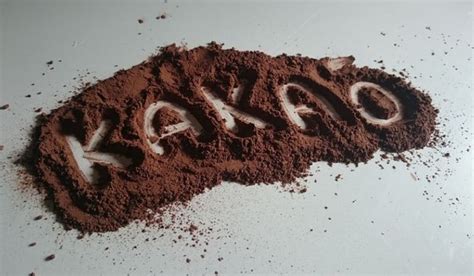 Why doesn't cocoa powder taste like chocolate?