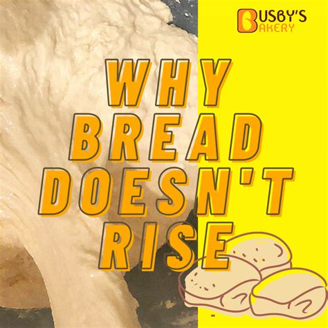 Why doesn't my bread stay crusty?