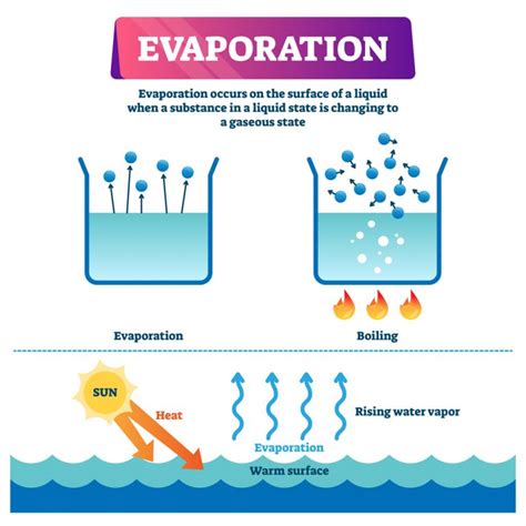 Why doesn't water evaporate all at once?