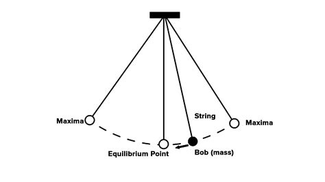 Why doesn't weight affect a pendulum?