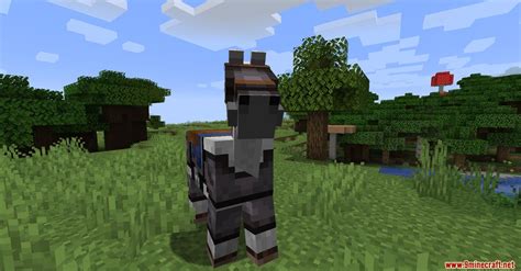 Why doesn t Minecraft have netherite horse armor?