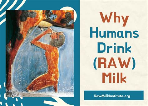 Why don't humans drink human milk?