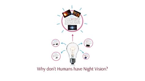 Why don't humans have 360 vision?