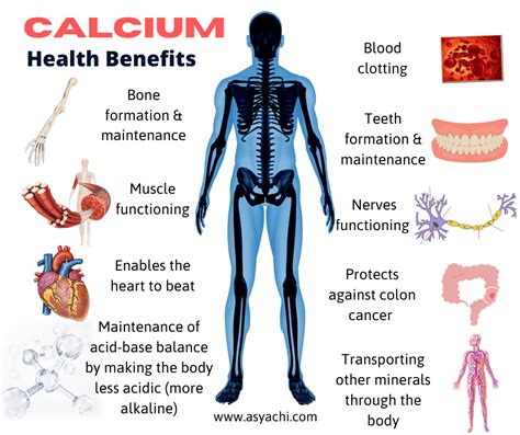 Why don't men need calcium?