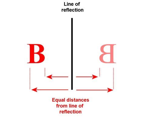 Why don't mirrors reverse up and down?