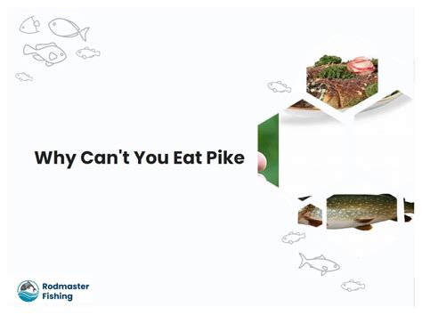 Why don't we eat pike?