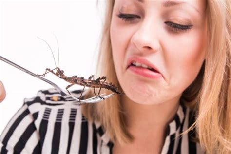 Why don't westerners eat bugs?