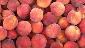 Why don t nectarines have fuzz?