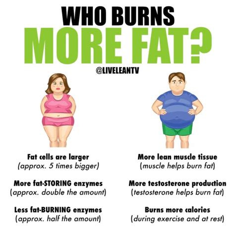 Why girls are more chubby than boys?
