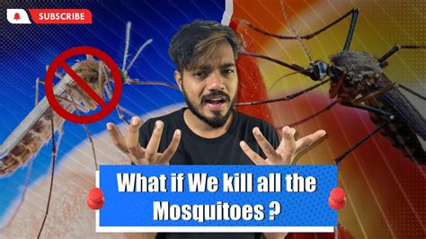 Why haven t we killed all mosquitoes?