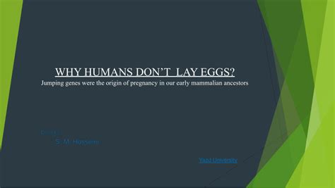 Why humans don't lay eggs?