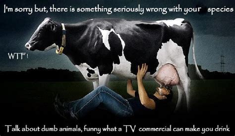 Why humans don t need cows milk?