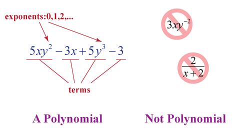 Why is 0 a polynomial?