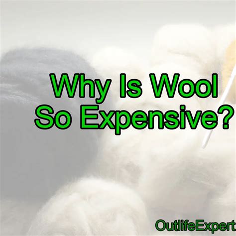 Why is 100 wool so expensive?