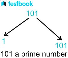 Why is 101 a prime number?