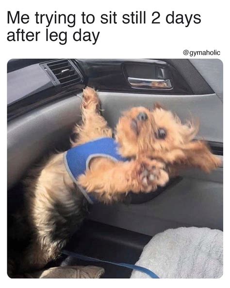 Why is 2 days after leg day the worst?